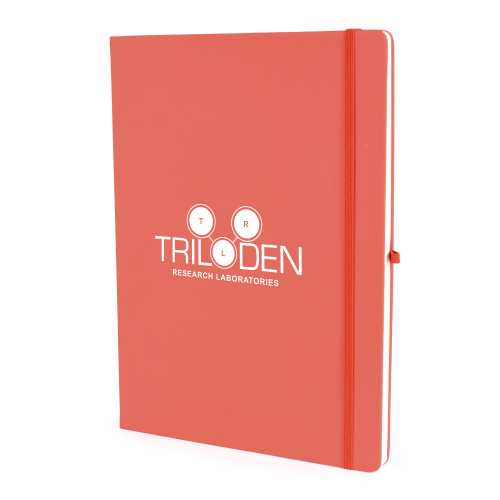 A4 Mole Notebook