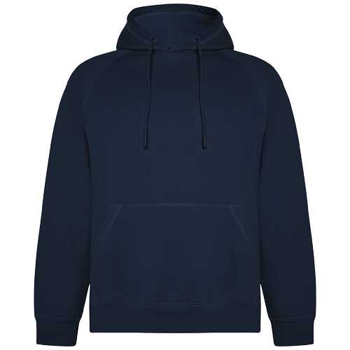 Vinson 300 g/m² organic cotton unisex hoodie