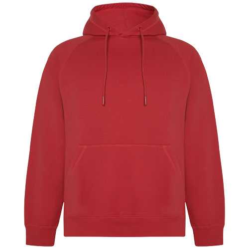 Vinson 300 g/m² organic cotton unisex hoodie