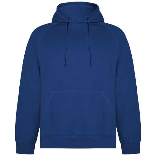 Vinson 300 g/m² organic cotton unisex hoodie