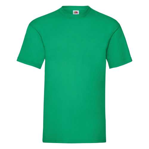 Fruit of the Loom Valueweight Cotton T-Shirt (Men'