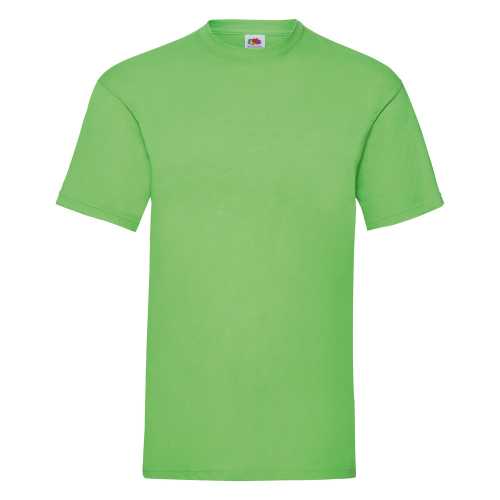 Fruit of the Loom Valueweight Cotton T-Shirt (Men'
