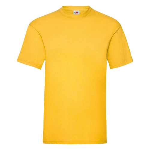 Fruit of the Loom Valueweight Cotton T-Shirt (Men'