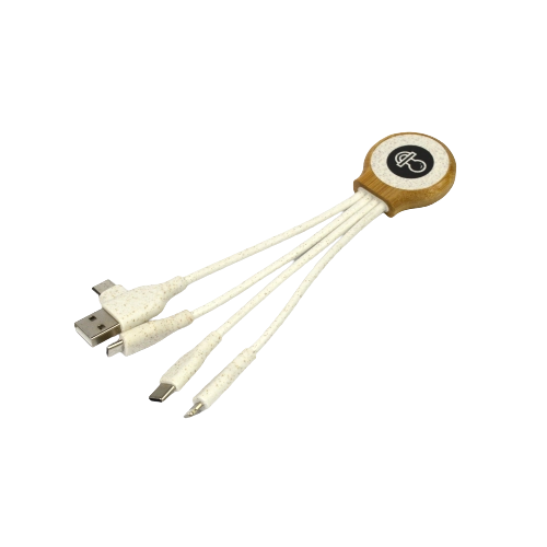 C31 – 3 in 1 cable