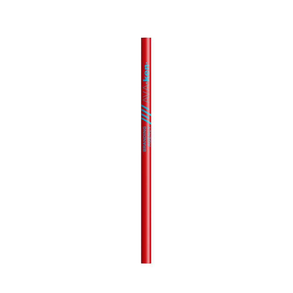 BIC® Evolution® Ecolutions® Cut pencil