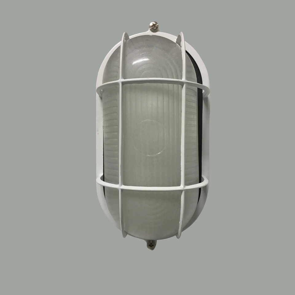 Bulk Head Light