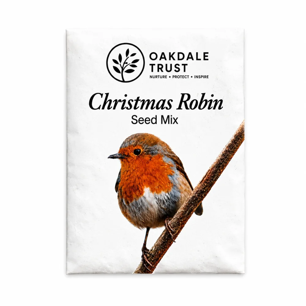 Christmas Robin Seed Mix