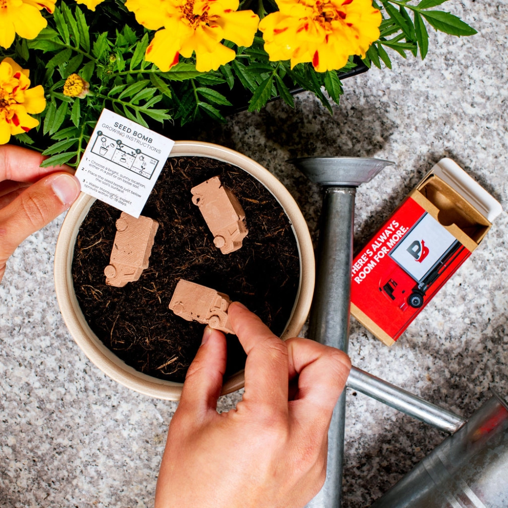 Van-Shaped Seed Bombs