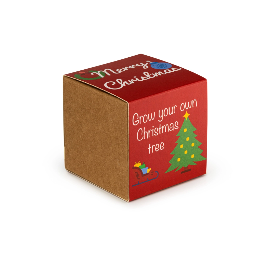 Christmas Tree Seed Bomb Kit