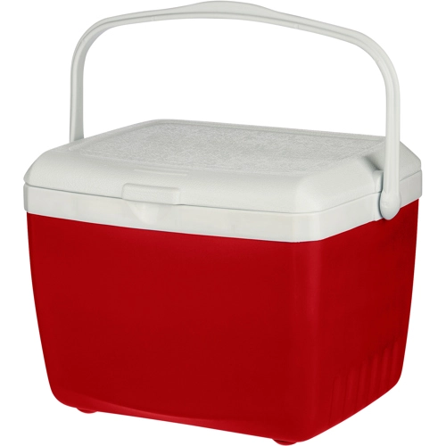 Cooler box (13 litre)