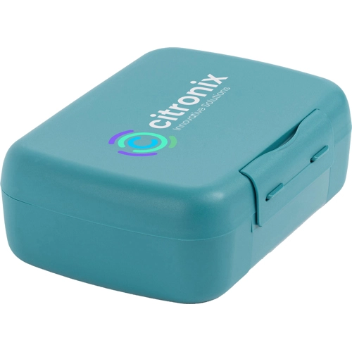 Day to Day lunch box