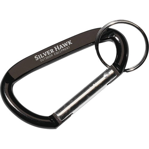 Carabiner keyring