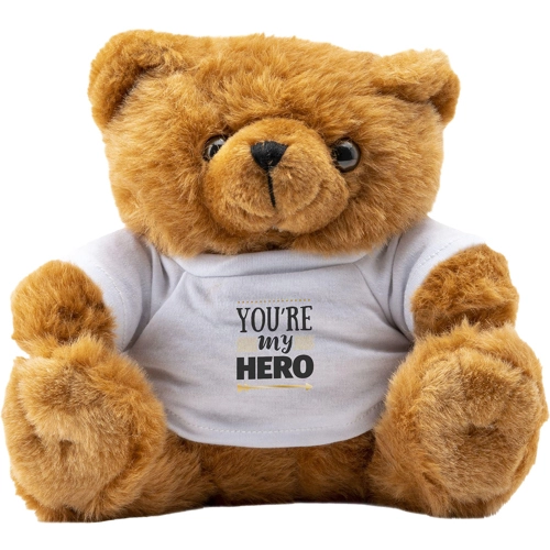 Big Browny bear soft toy