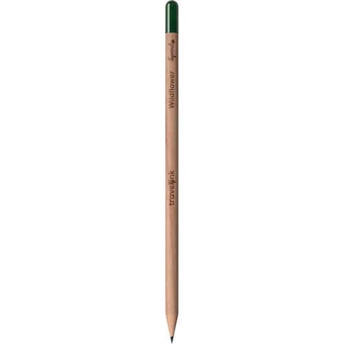 Sproutworld sharpened pencil