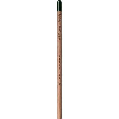 Sproutworld unsharpened pencil