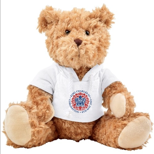 Plush teddy bear with hoodie