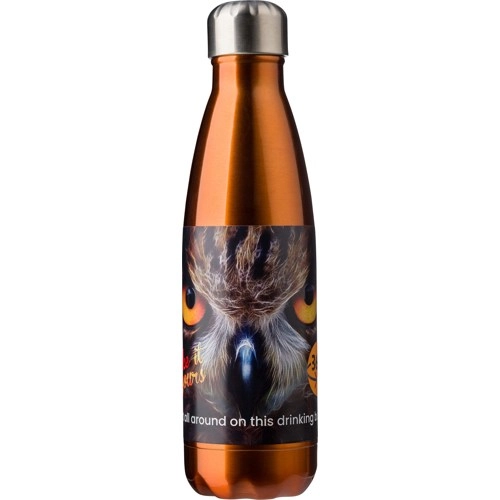 Stainless steel single walled bottle (650ml)