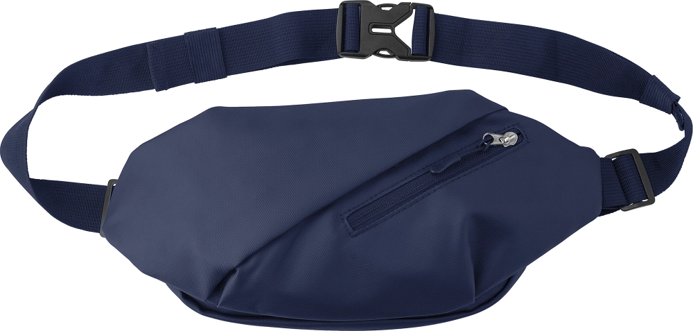Shoulder or waist bag