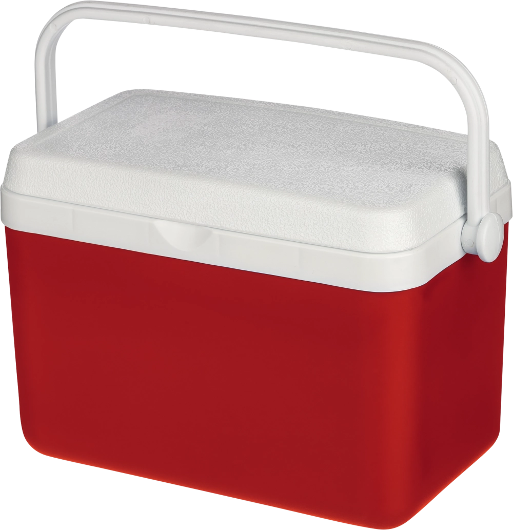 Cooler box (4 litre)