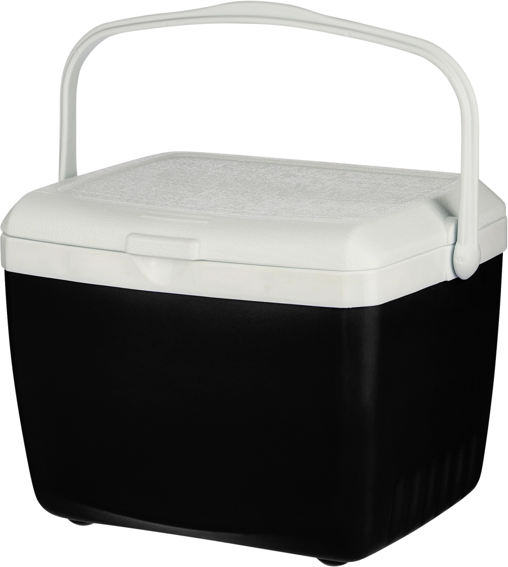 Cooler box (13 litre)