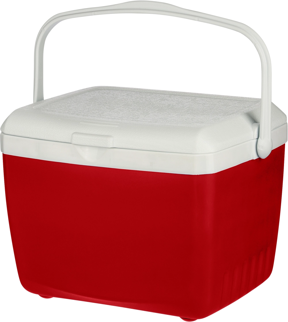 Cooler box (13 litre)