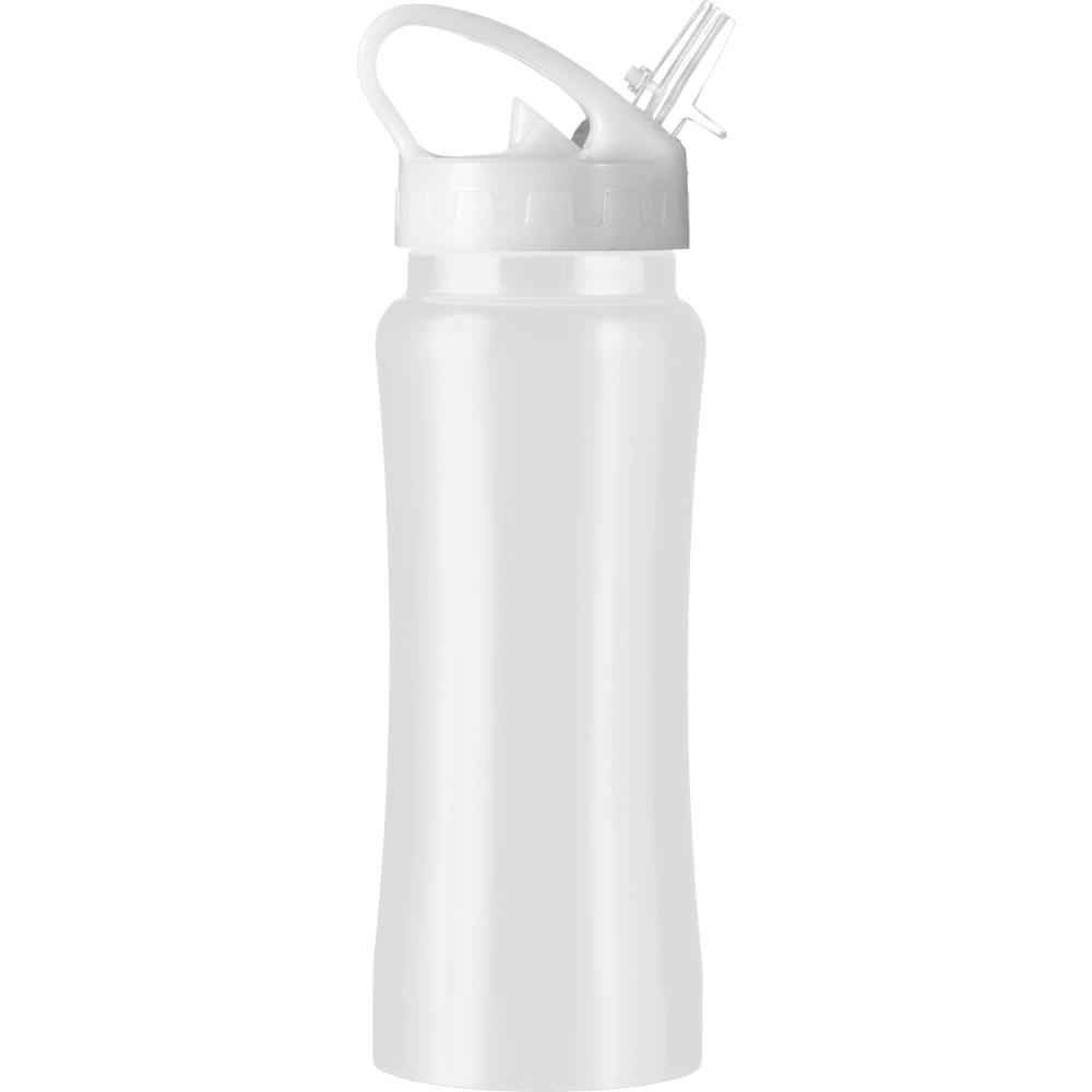 Stainless steel single walled drinking bottle (600ml)