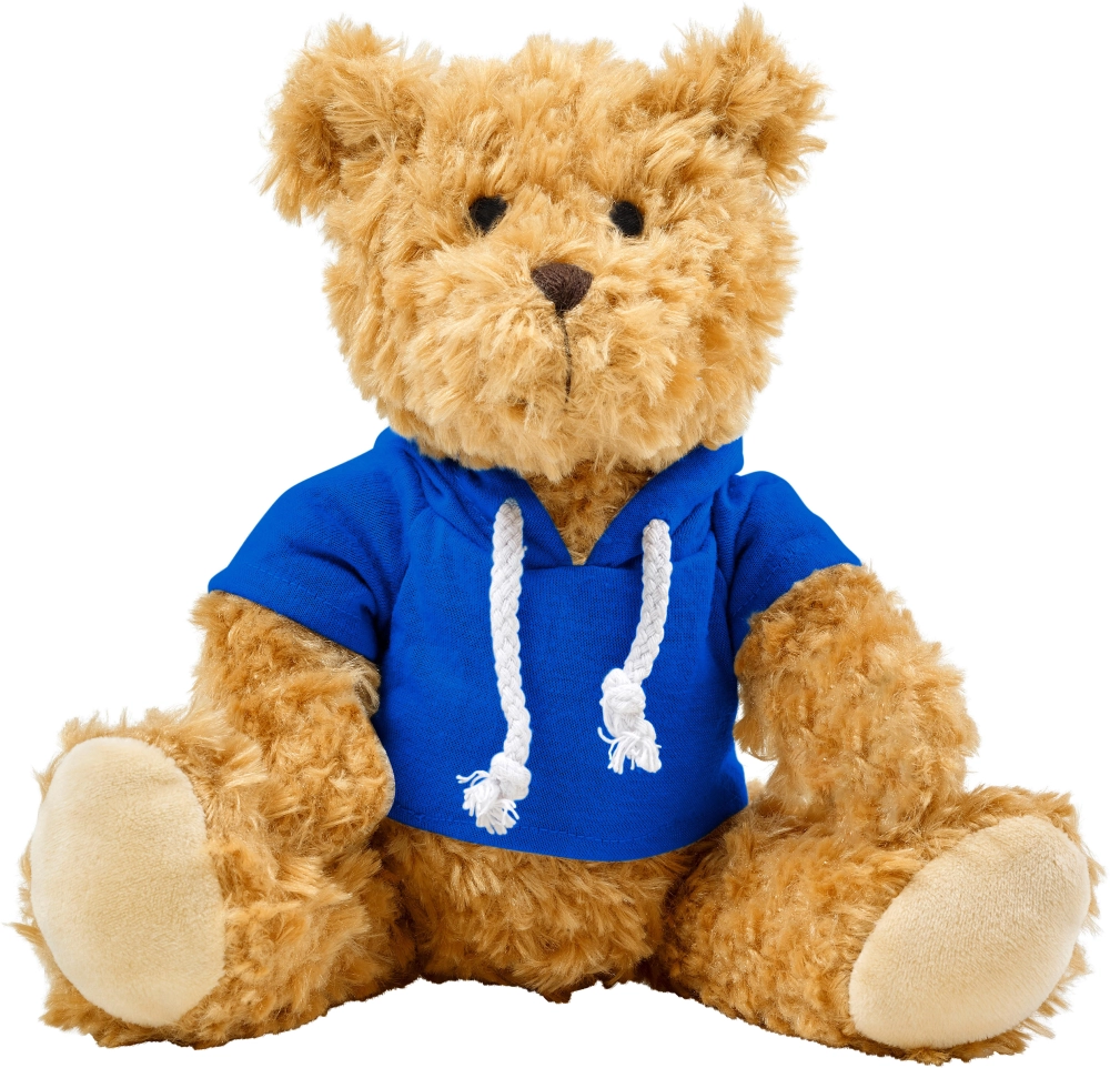 Plush teddy bear with hoodie