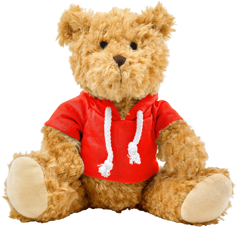Plush teddy bear with hoodie
