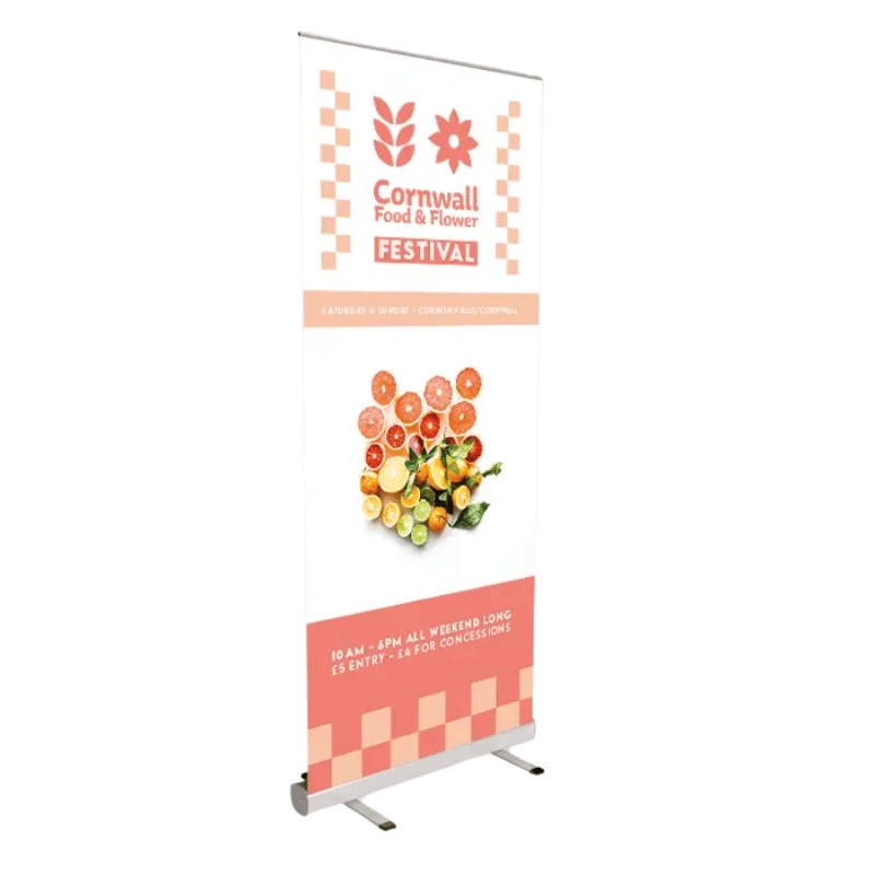 Budget Pull Up Banner