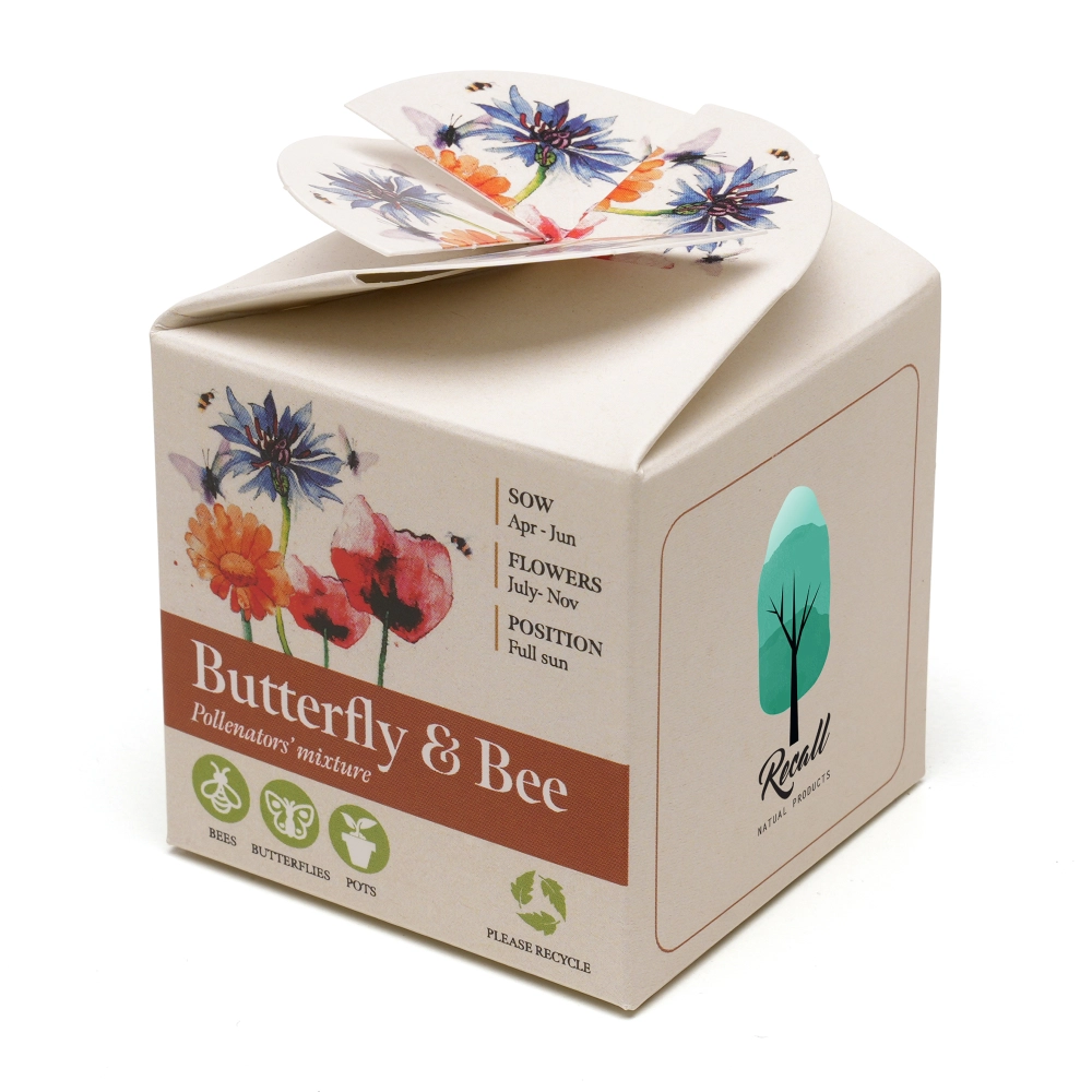 Mini Box Seed Kit