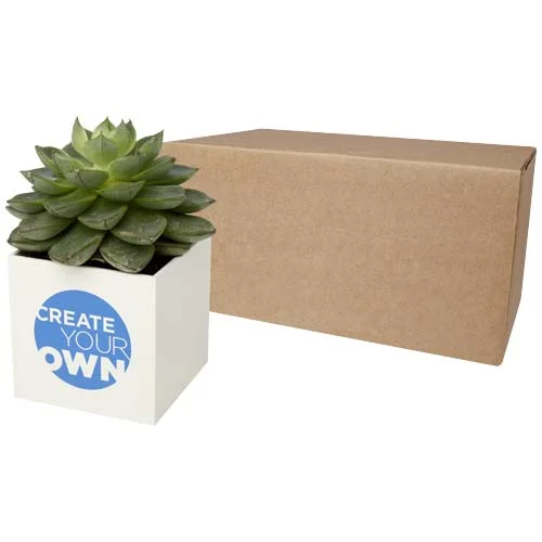 Hey Pots aluminium planted pot - succulent