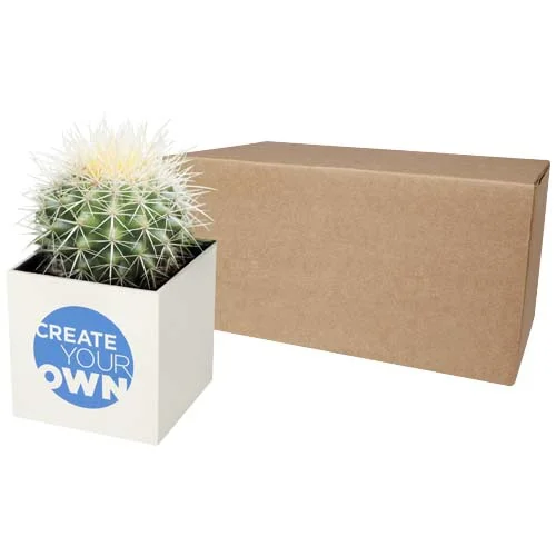 Hey Pots aluminium planted pot - cactus