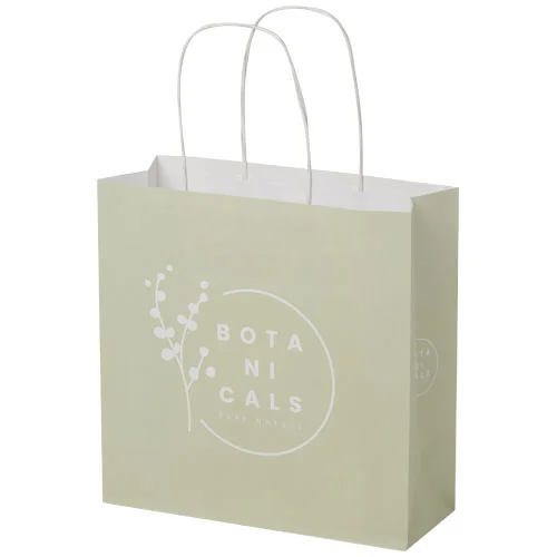 Kraft 120 g/m2 paper bag with twisted handles - 24 x 9 x 24 cm