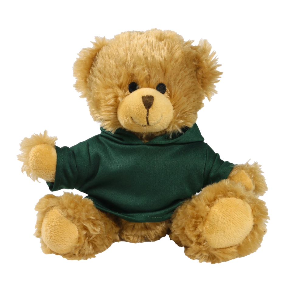 20cm Charles Jointed bear with printed Green Hoody