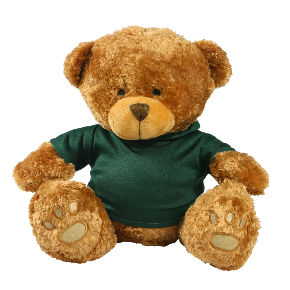 Brown 22cm Edward bear with printed Green Hoody
