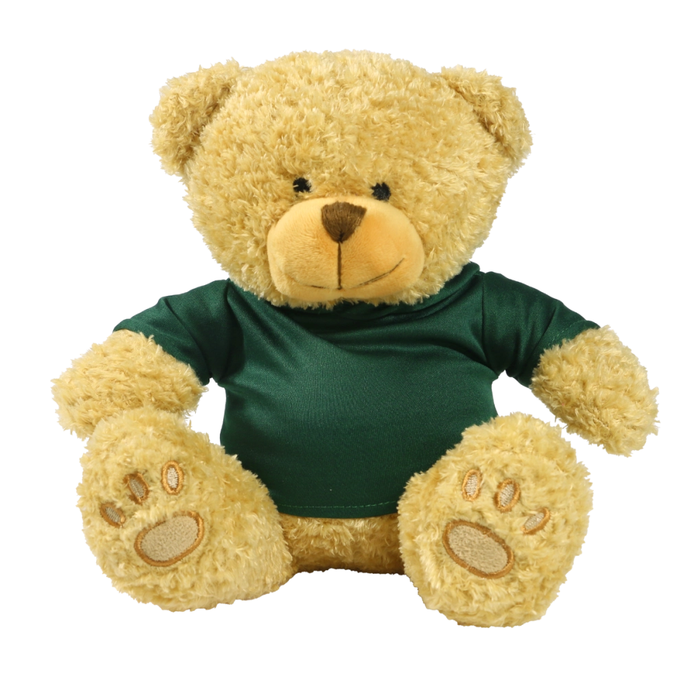 Golden 22cm Edward bear with printed Green Hoody