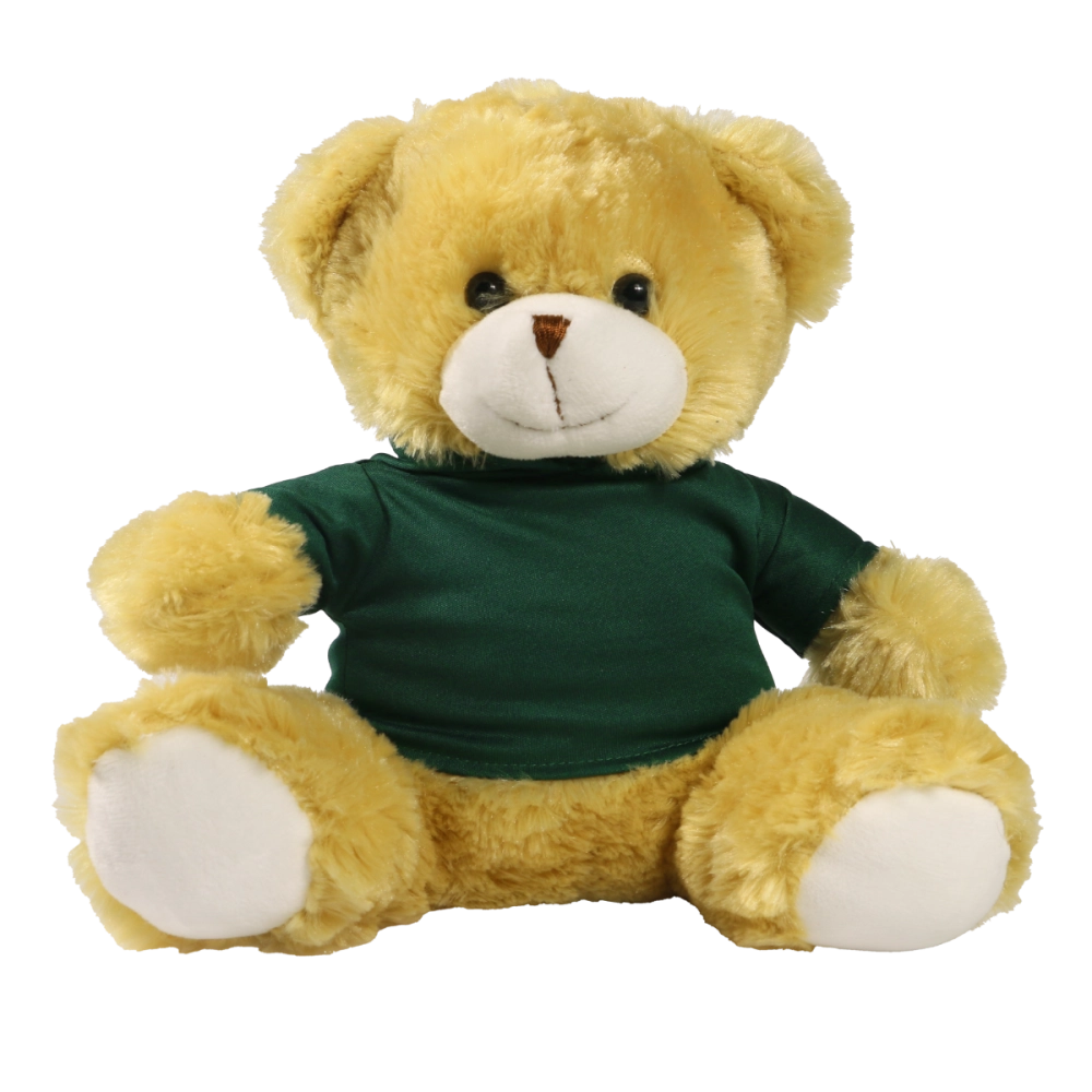 25cm Elizabeth bear with printed Green Hoody