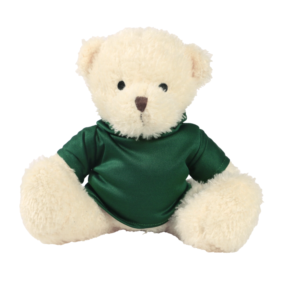 White 18cm James bear with printed Green Hoody