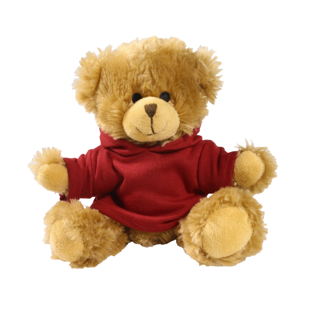 20cm Charles Jointed bear with printed Maroon Hoody
