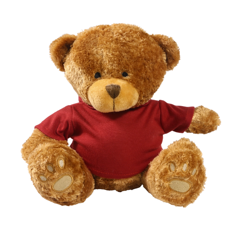 Brown 22cm Edward bear with printed Maroon Hoody