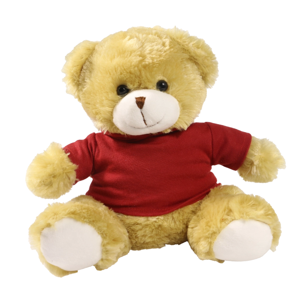 25cm Elizabeth bear with printed Maroon Hoody