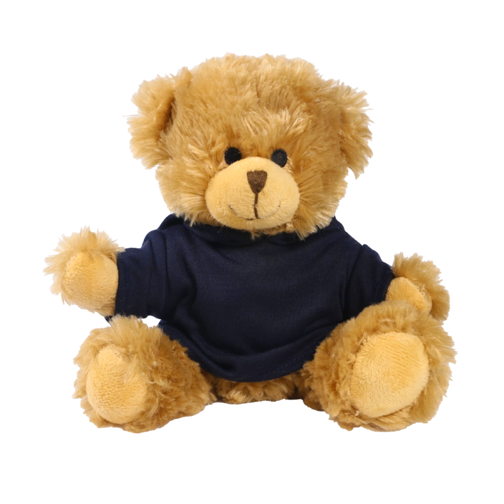 20cm Charles Jointed bear with printed Navy Hoody