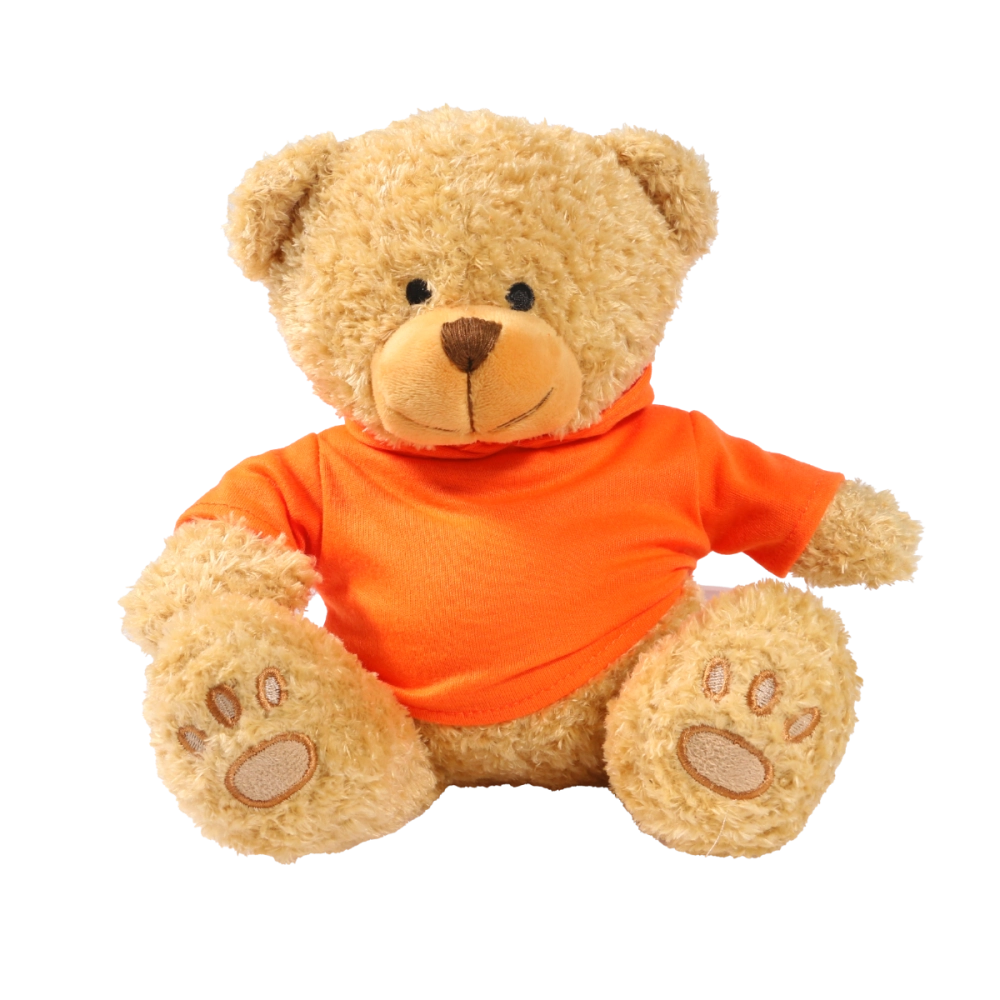 Golden 22cm Edward bear with printed Orange Hoody