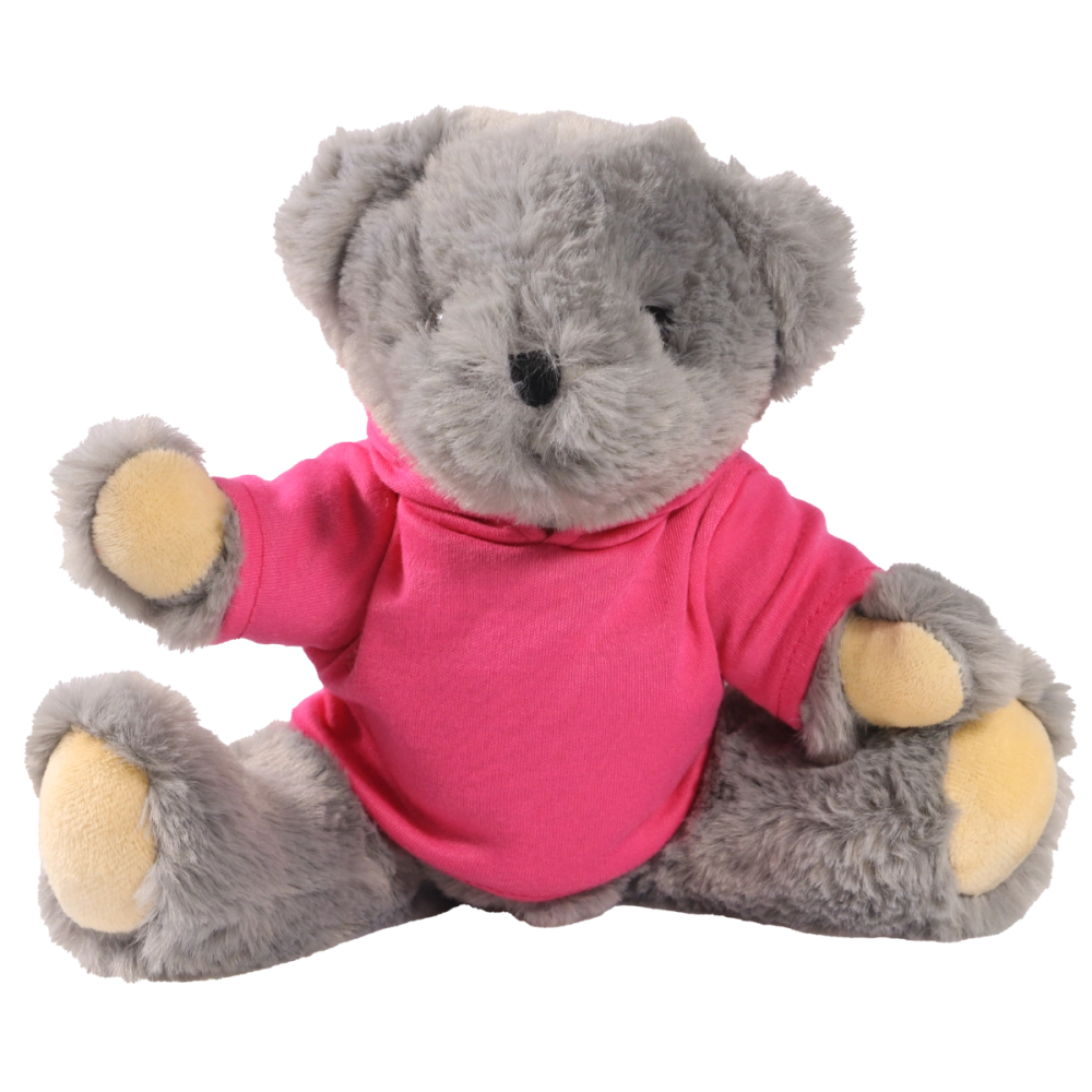 20cm Archie Jointed bear with printed Pink Hoody