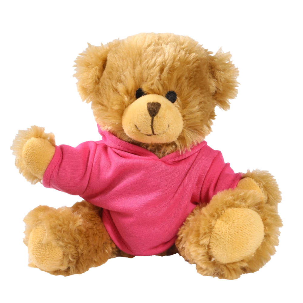 20cm Charles Jointed bear with printed Pink Hoody