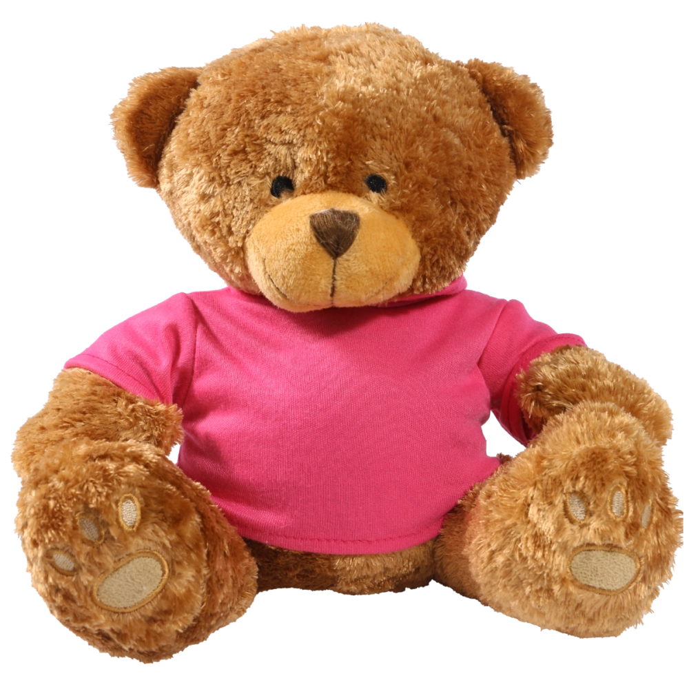 Brown 22cm Edward bear with printed Pink Hoody