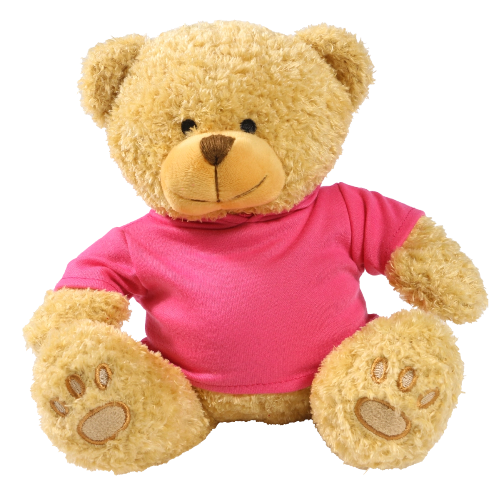 Golden 22cm Edward bear with printed Pink Hoody