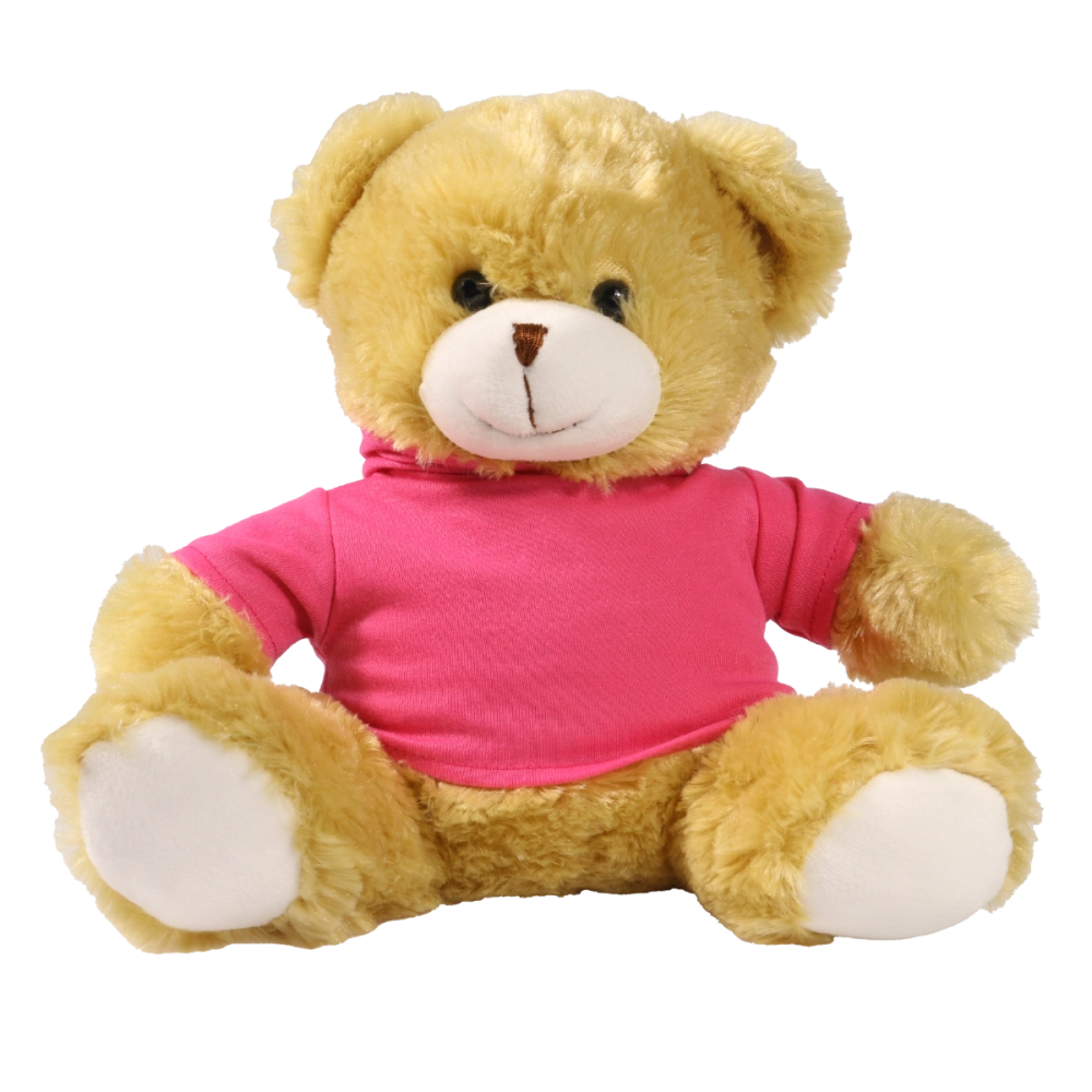 25cm Elizabeth bear with printed Pink Hoody