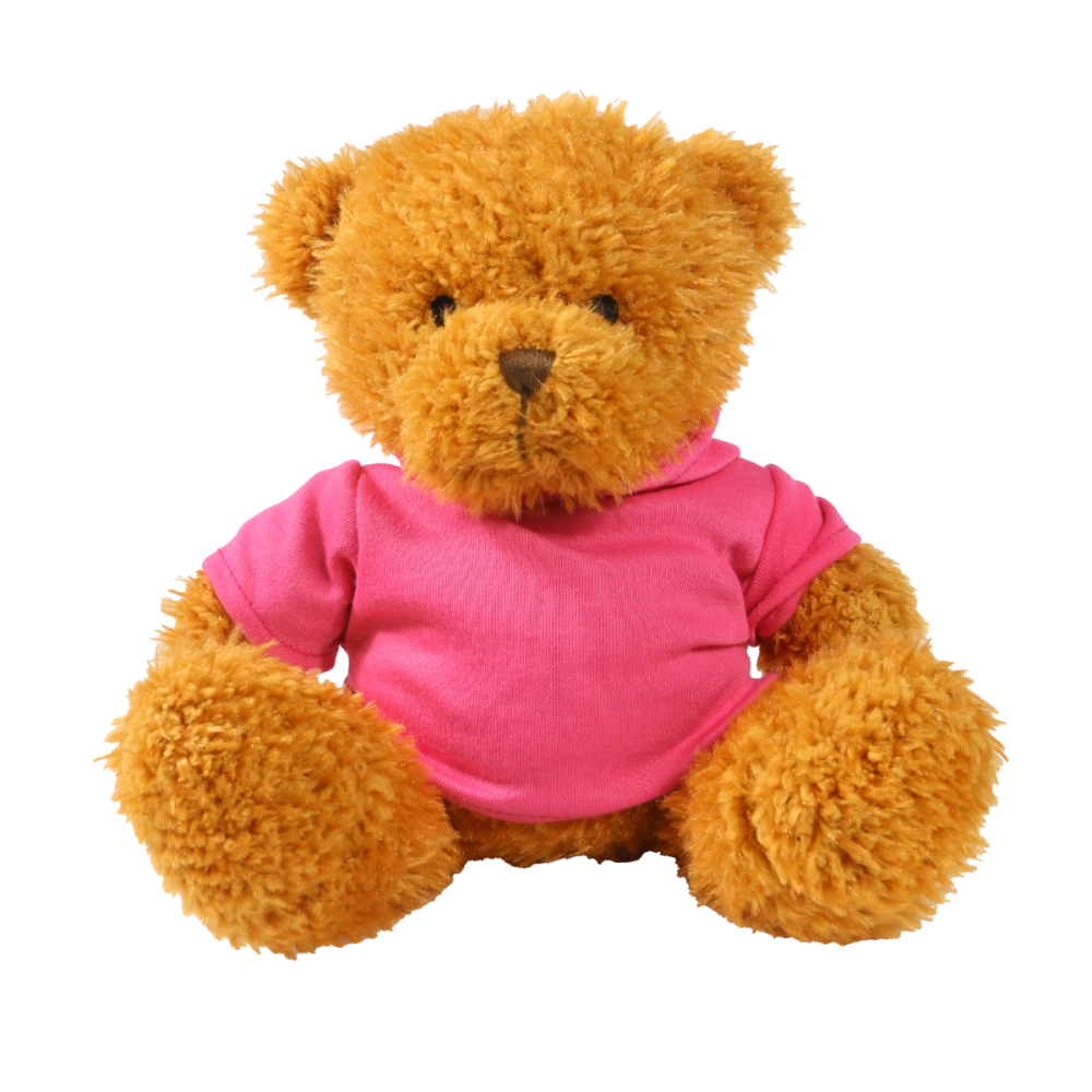 Golden 18cm James bear with printed Pink Hoody