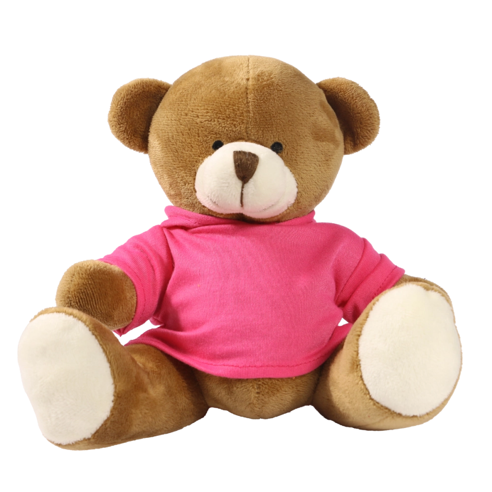 20cm Richard bear with printed Pink Hoody
